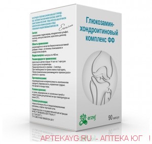 Глюкозамин-хондроитин комплекс капс. х90