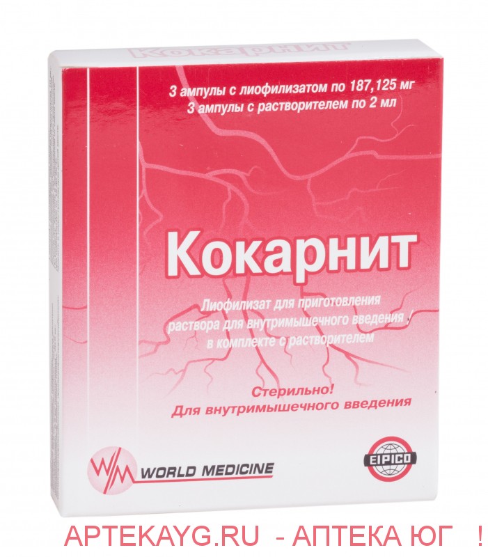 Кокарнит лиоф д/приг р-ра в/м введ фл 187,125 мг (+р-ль амп 2 мл х3) х3 Кокарнит лиоф д/приг р-ра в/м введ фл 187,125 мг (+р-ль амп 2 мл х3) х3