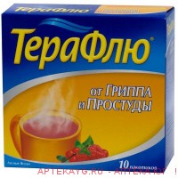 Терафлю пор д/приг р-ра (лесные ягоды) х10 ^