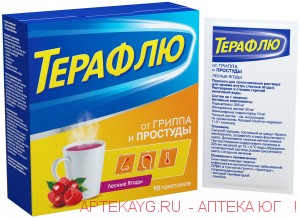 Терафлю пор. пригот. р-ра д/вн. приема саше №10 (лесные ягоды)