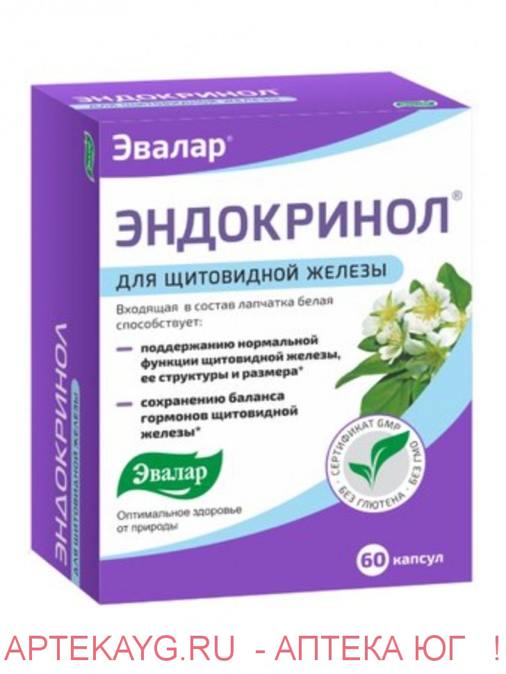 Эндокринол n60 капс
