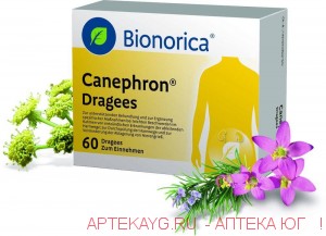 Канефрон н табл п/о х60 #