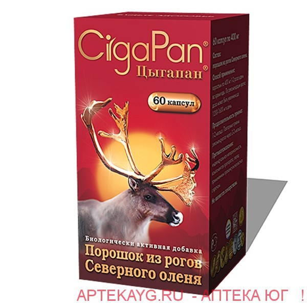 Цыгапан 0,4г №60 капс.