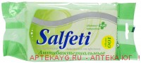 Salfeti салфетки влаж а/бакт n100