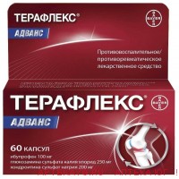 Терафлекс адванс капс. х60