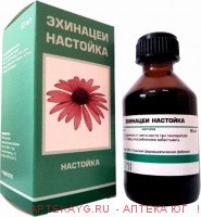 Эхинацея настойка 50мл флак пэт н-ка